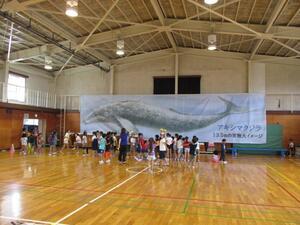 写真：拝島第一小学校くじら横断幕掲示のようす