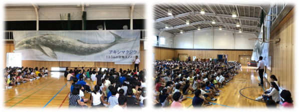 写真：拝島第三小学校くじら横断幕掲示のようす