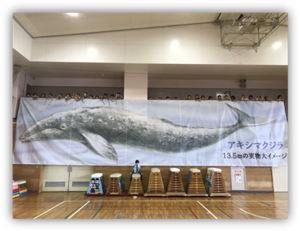 写真：拝島第二小学校くじら横断幕掲示のようす