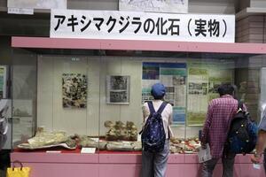 写真：化石の展示1