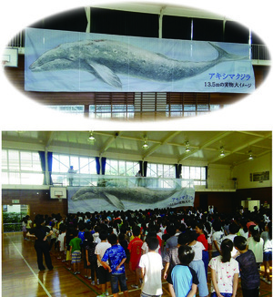 写真：中神小学校くじら横断幕掲示のようす