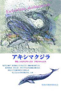 写真：新パンフレット表紙