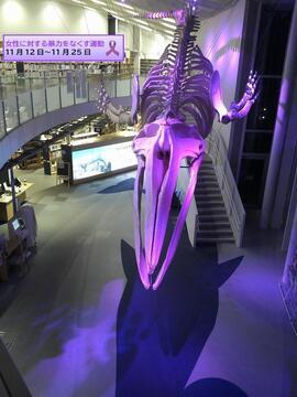 写真：パープルライトアップの様子