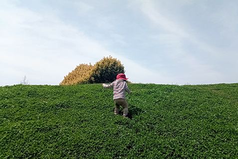 原っぱにいる子どもの写真