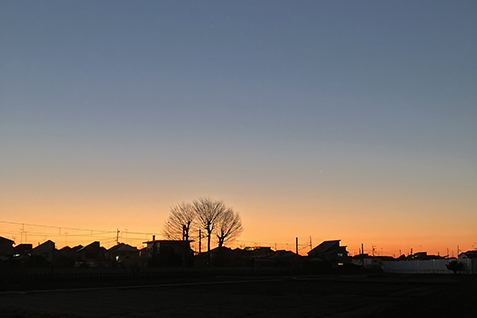 赤く染まった夕方の景色の写真