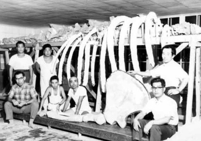 復元作業の画像