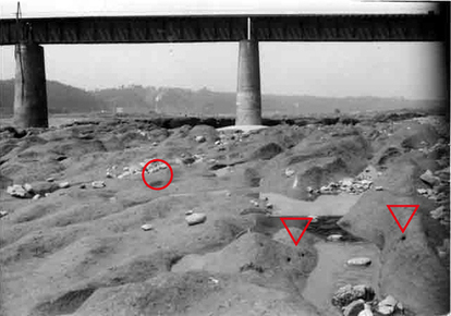 発掘現場の画像