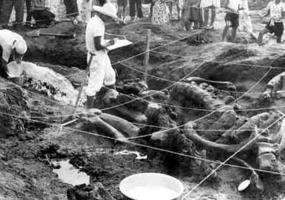  水縄を張り巡らせた発掘現場の画像