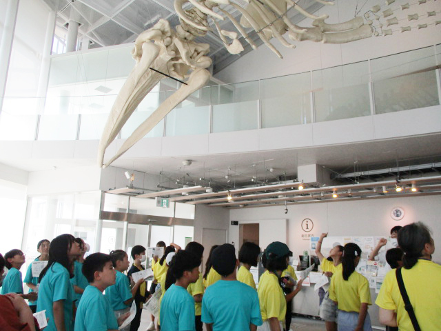 アキシマクジラの化石の原寸大レプリカを見上げる子どもたちの写真