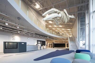 ホールに吊ってある化石レプリカの写真