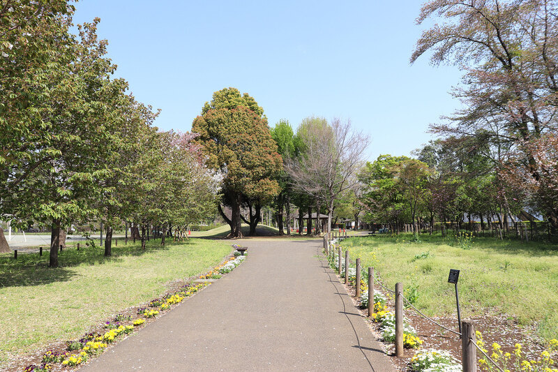 画像：エコ・パーク内の通路