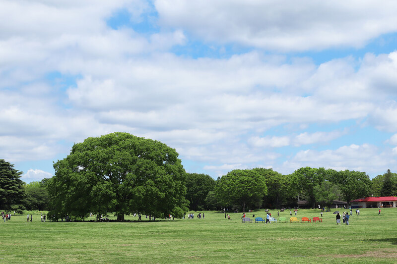 画像：昭和記念公園内みんなの原っぱ