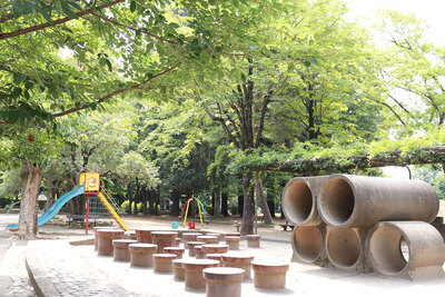 画像：昭和公園の遊具