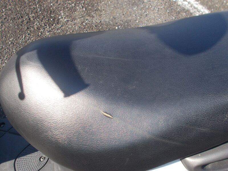 原付バイクシート写真