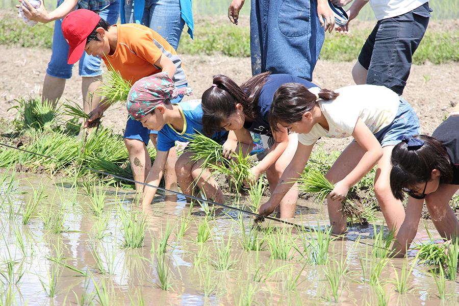 写真：米つくり教室