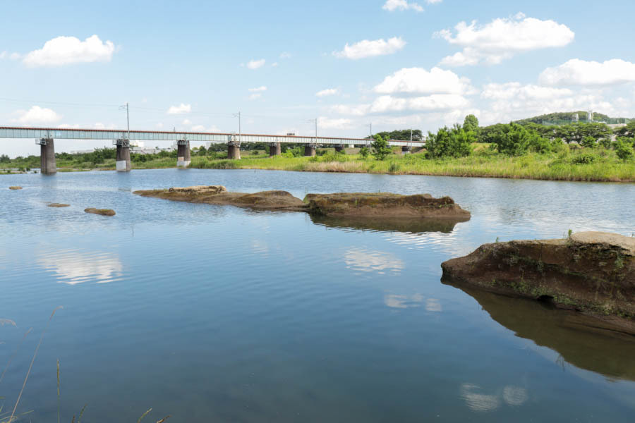 写真：多摩川