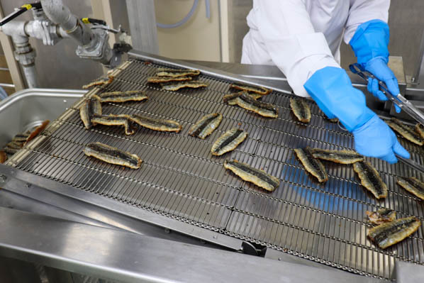 フライヤーで揚がった魚の写真