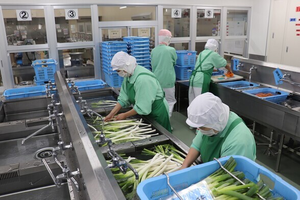 ネギを洗っている写真