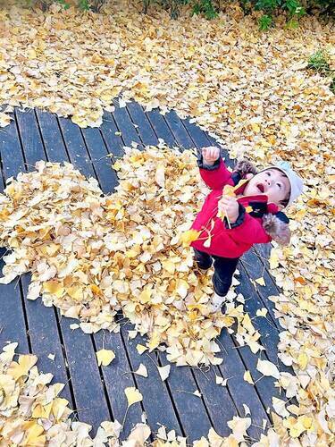 画像：モリパークのイチョウ並木で撮った写真