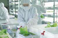 衛生的な環境で働く作業員の写真