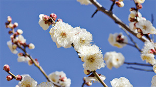 2026年2月15日号表紙の写真