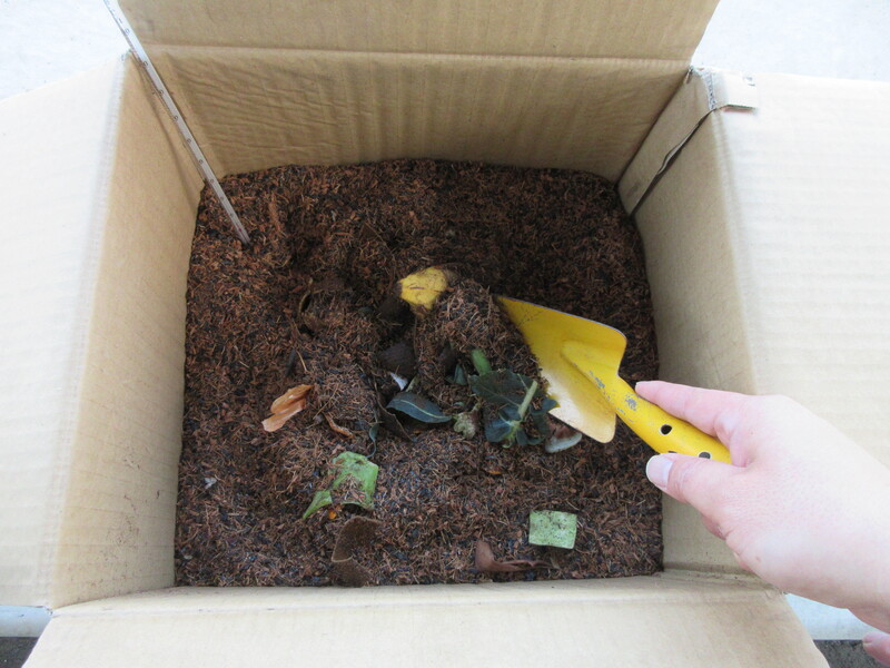 ダンボールコンポストの写真