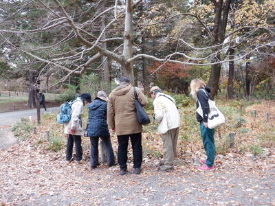 写真:研修会1-2