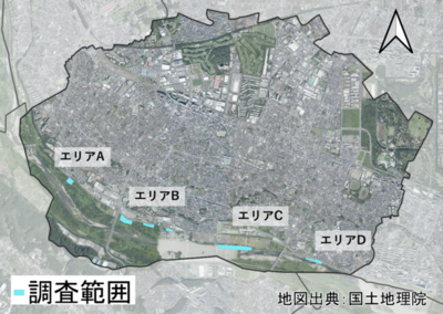 調査範囲