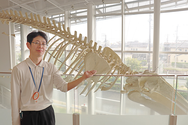 写真：化石の原寸大レプリカと尾崎さん