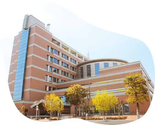 写真：昭島市役所