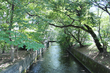 玉川上水