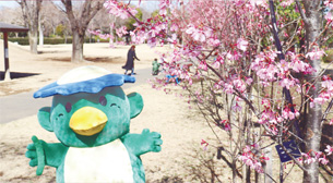 2021_0315_top.jpg