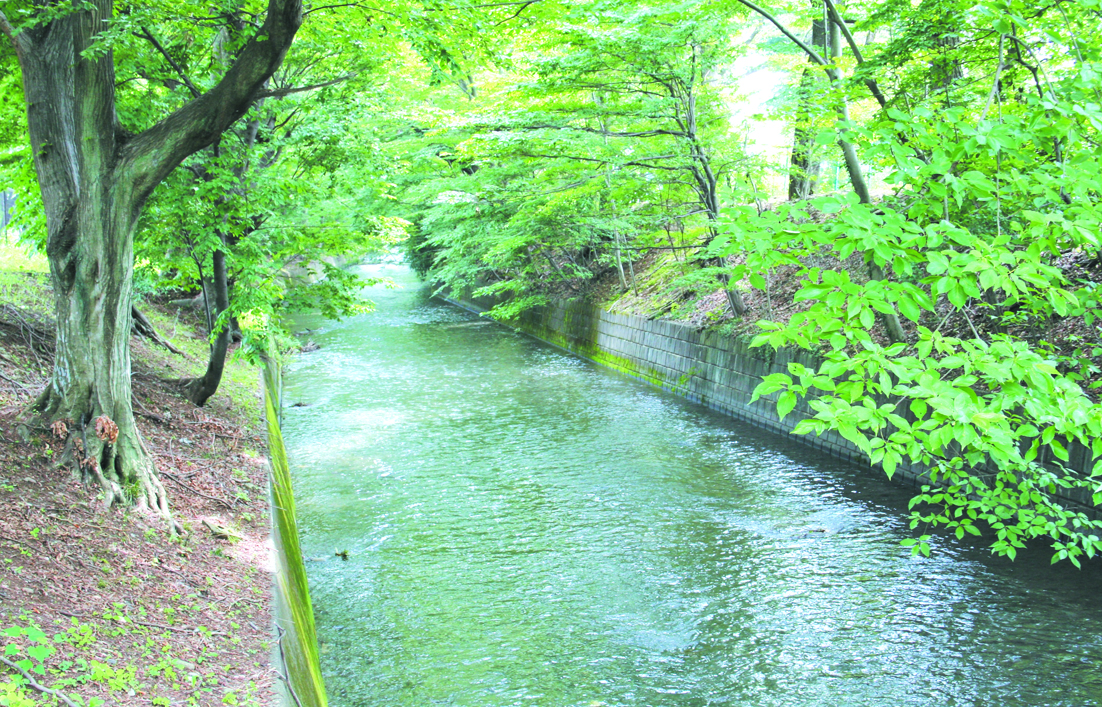 玉川上水