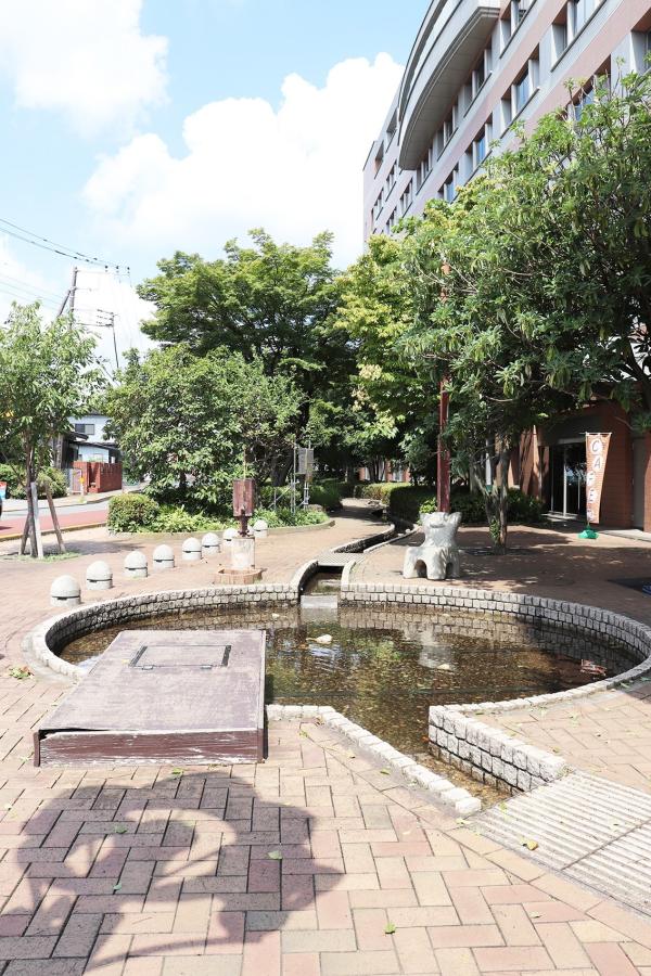 せせらぎの写真3
