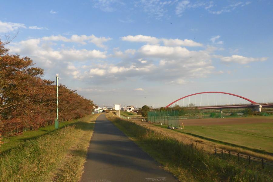 多摩大橋付近の遊歩道1