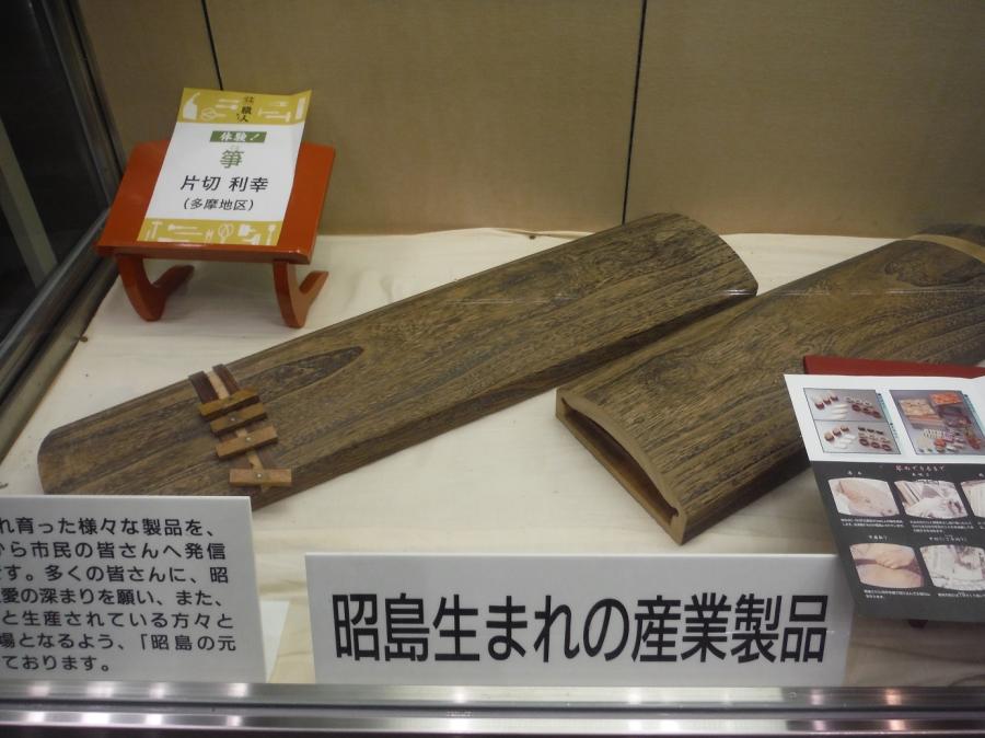 展示のようす