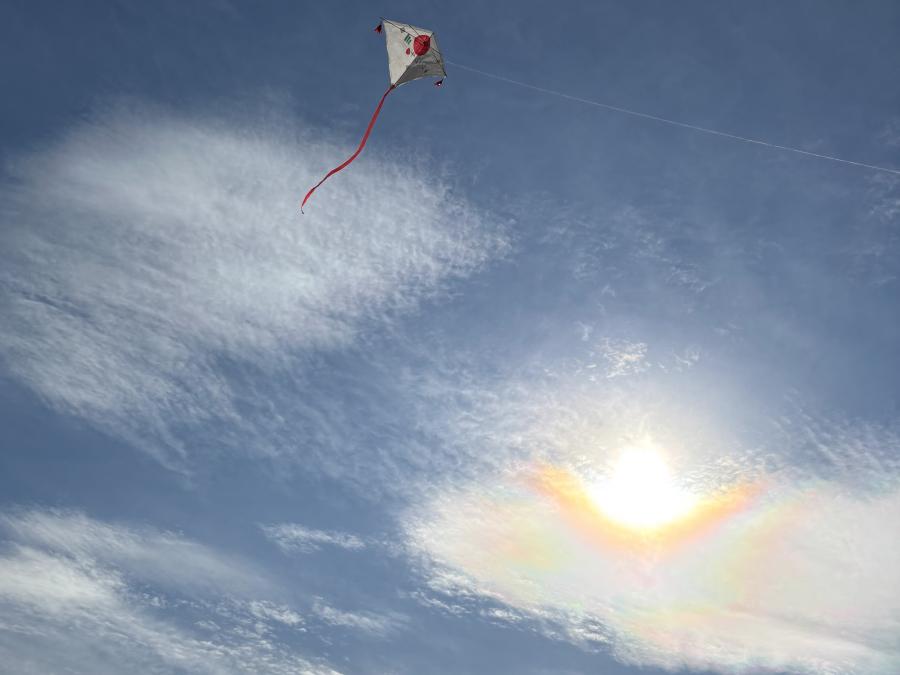 たこが空を舞っている様子。