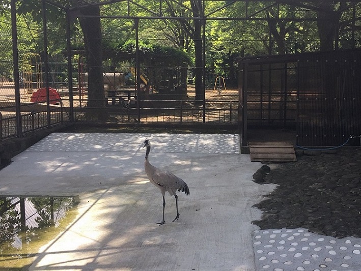 木々が芽吹き木漏れ日の差すツル舎