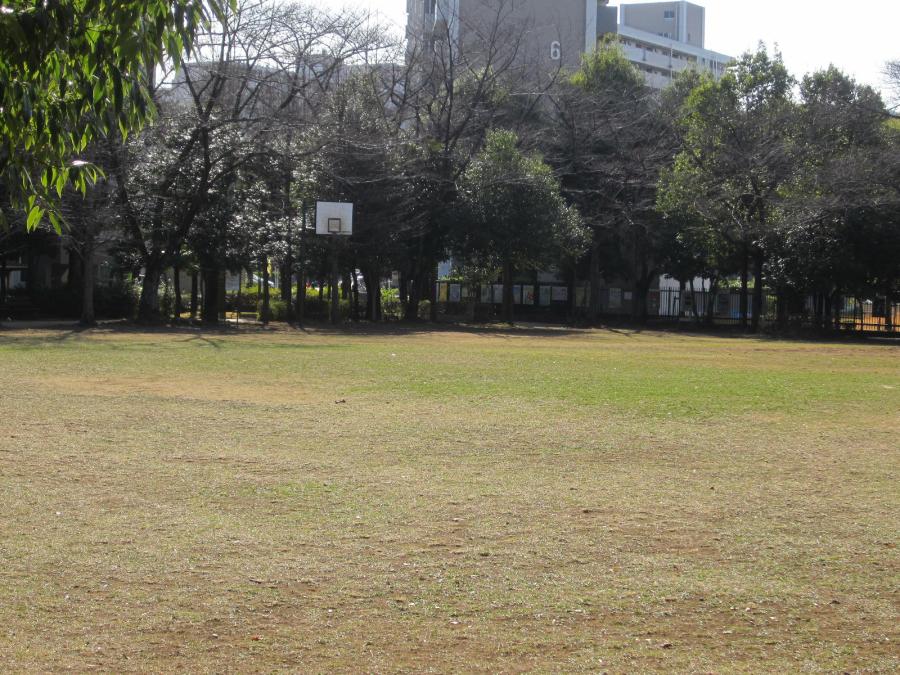 つつじヶ丘公園バスケットゴール（全景）