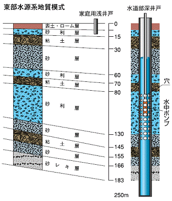 東部水源系地質模式図
