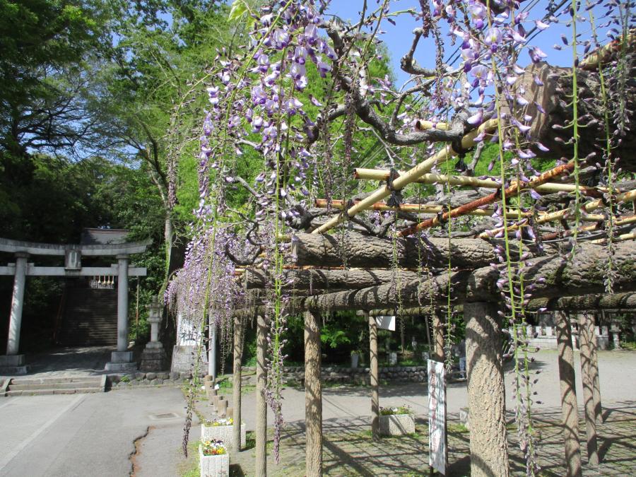 4月13日撮影1