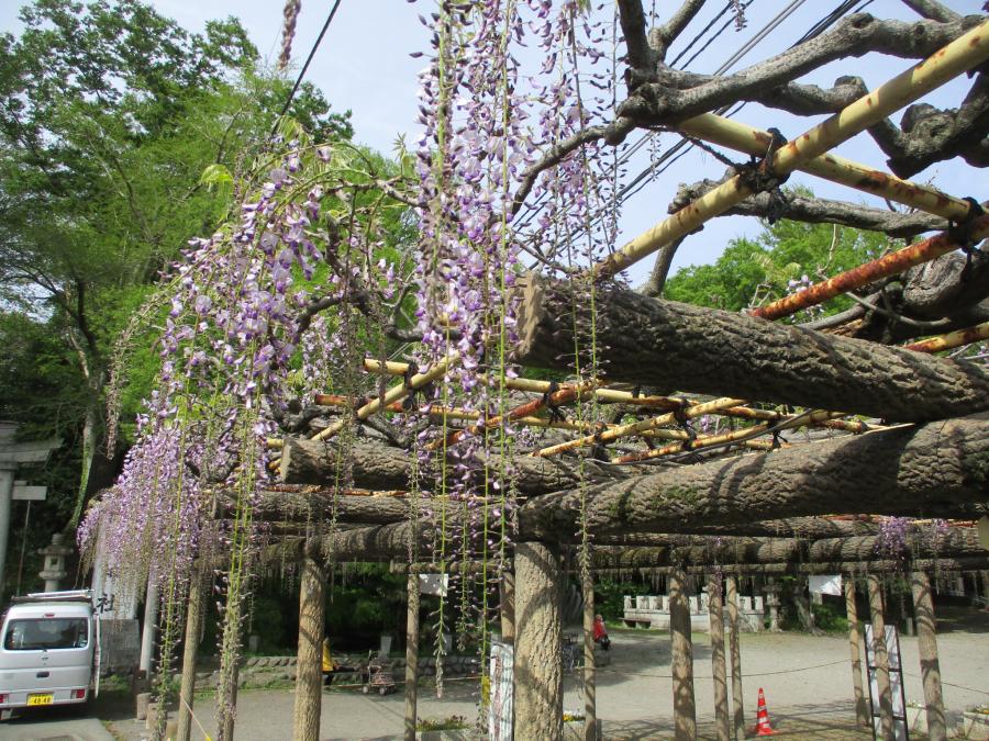 4月14日撮影1