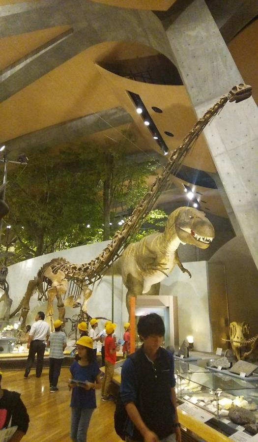 群馬県立自然史博物館内の画像1