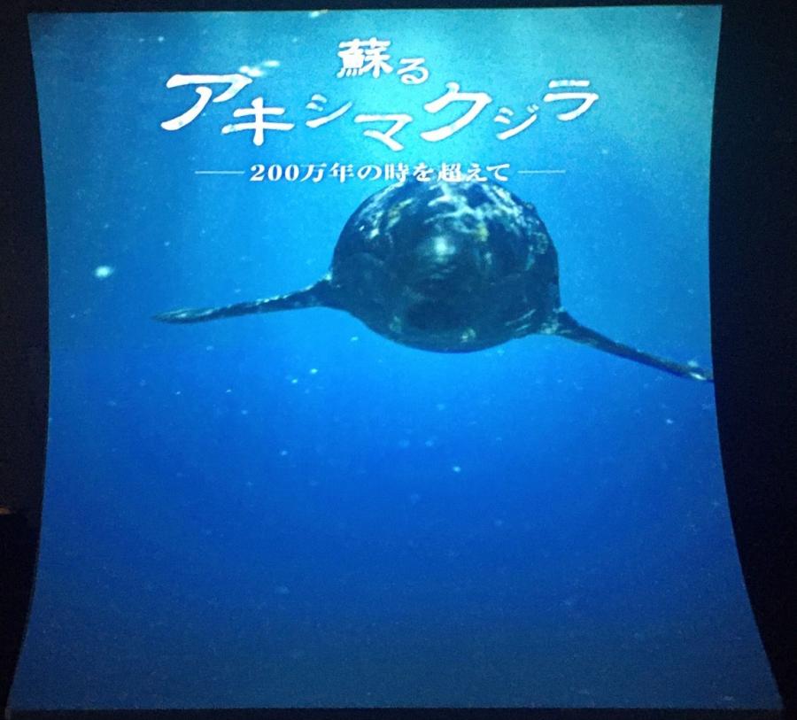 蘇るアキシマクジラ