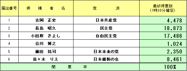 小選挙区選出開票結果